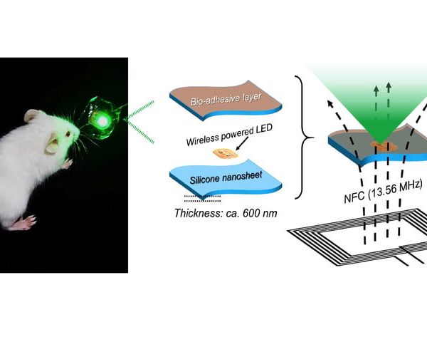 LED per la cura dei tumori 1